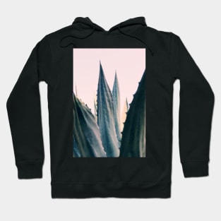 Agave Daydreams Hoodie